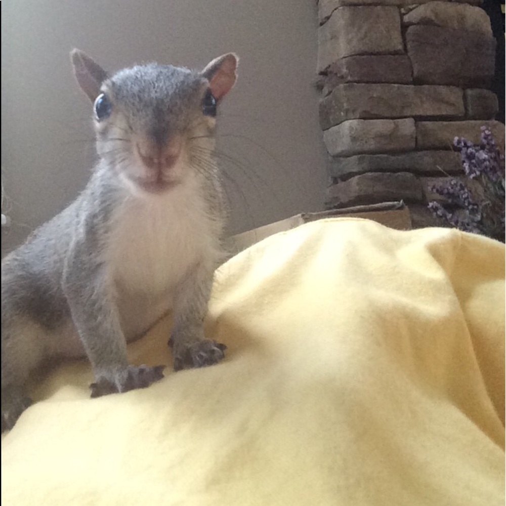 Meet your Posher, Geri